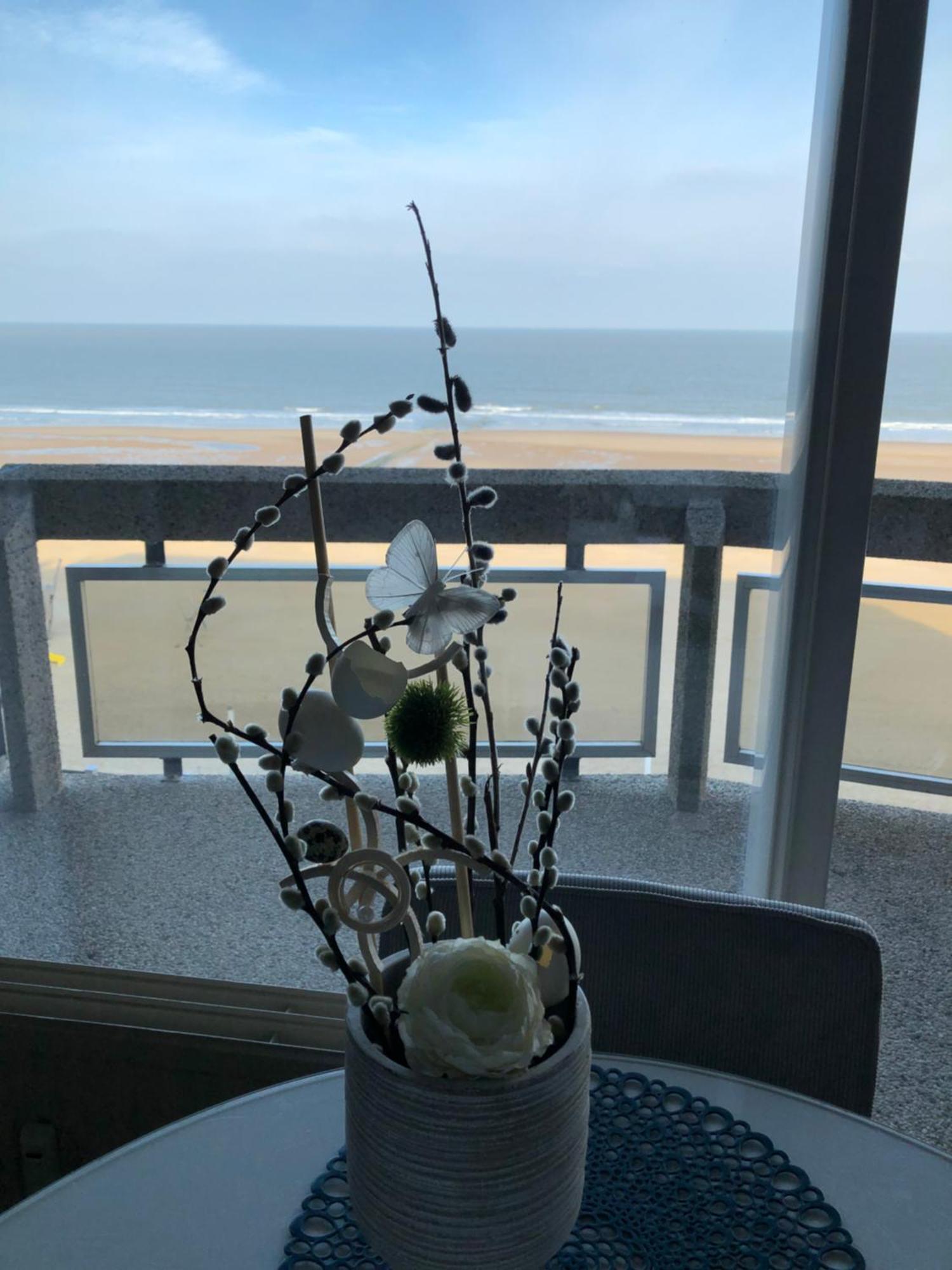 Enjoy@sea * Ostende